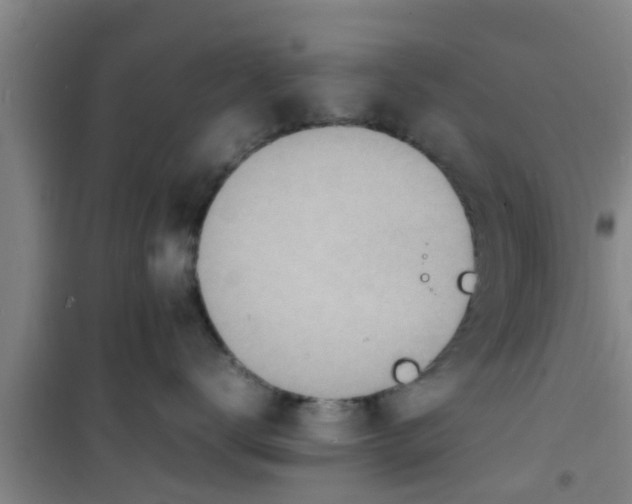 X0000100980672200807221235