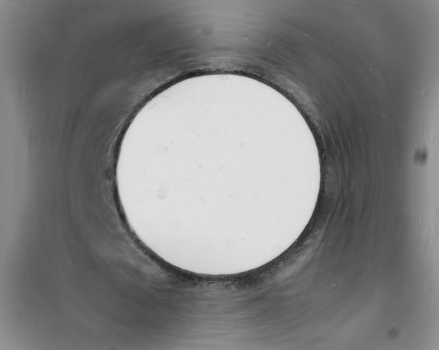 X0000100980673200807221234