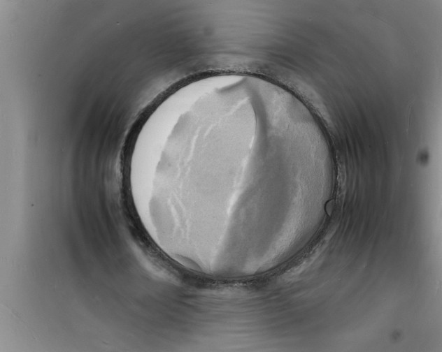 X0000100980674200807221234