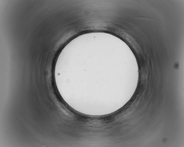 X0000100980677200807221234