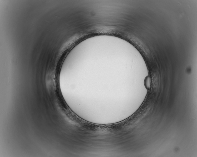 X0000100980682200807221234