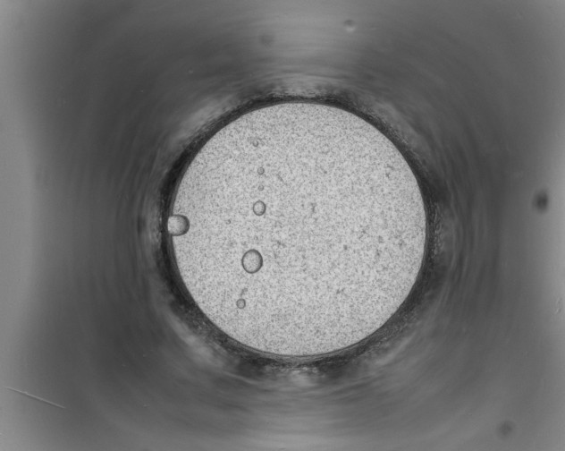 X0000100980683200807221234