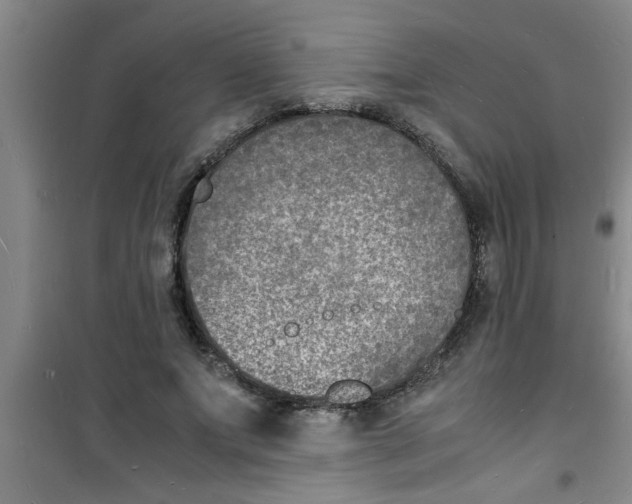 X0000100980687200807221234