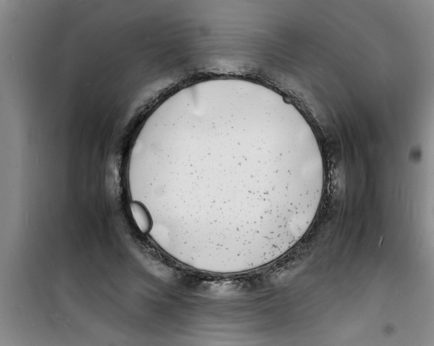 X0000100980688200807221234