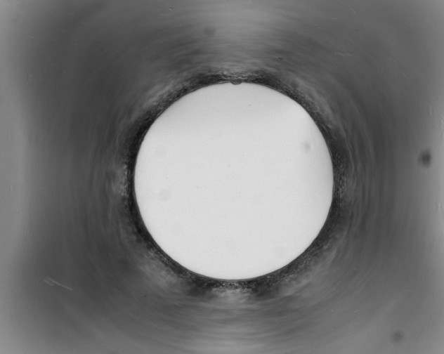 X0000100980689200807221234