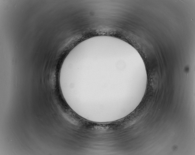 X0000100980690200807221234