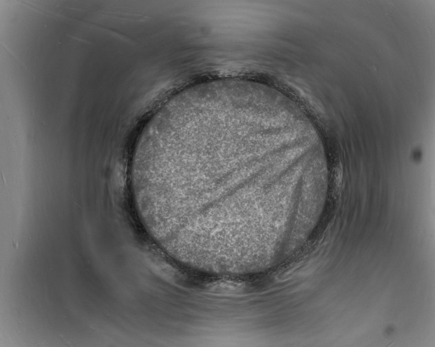 X0000100980691200807221234