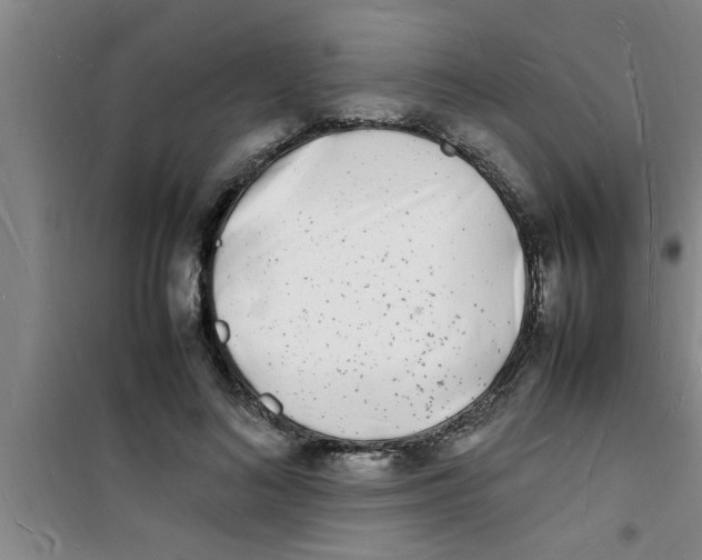 X0000100980692200807221234