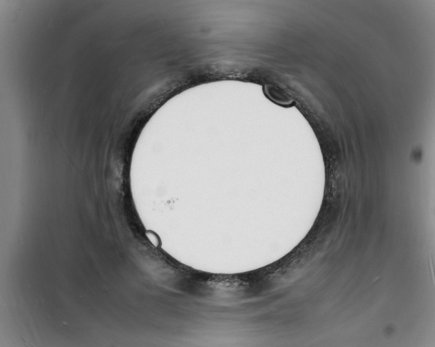 X0000100980693200807221234