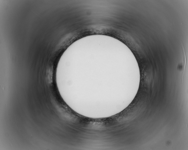 X0000100980694200807221234