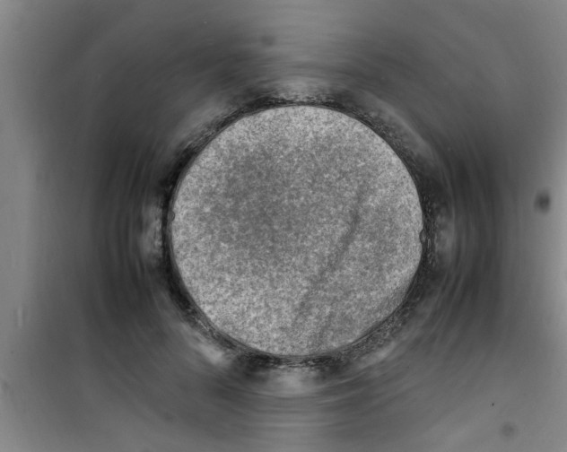 X0000100980696200807221234