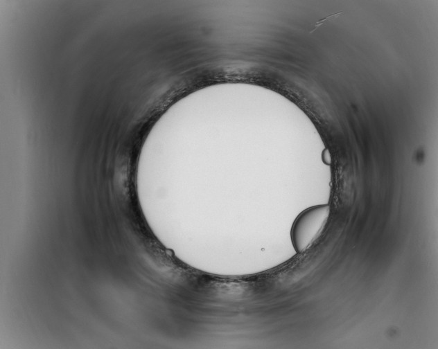 X0000100980698200807221234