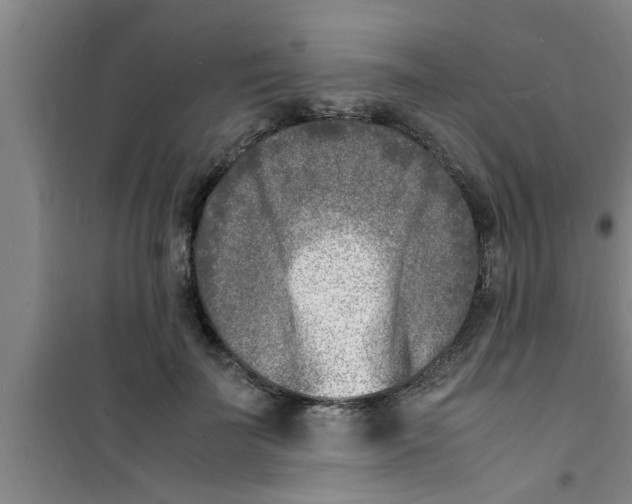 X0000100980699200807221234