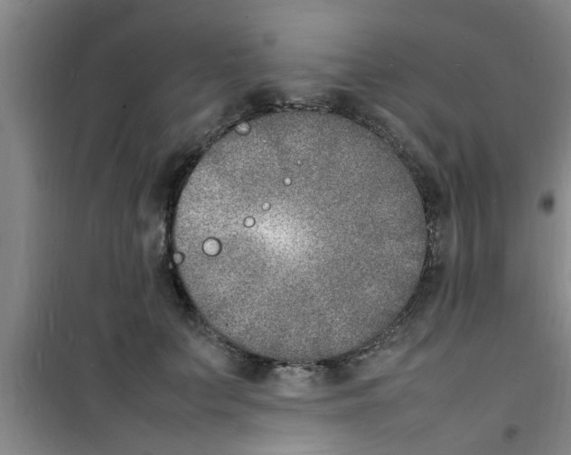 X0000100980703200807221234