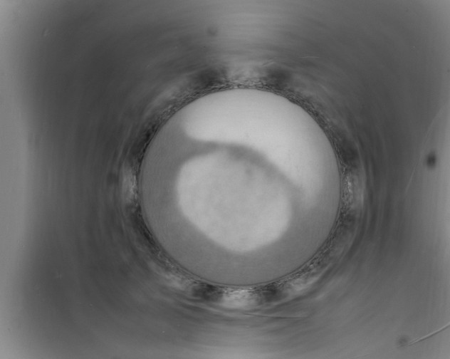 X0000100980705200807221233