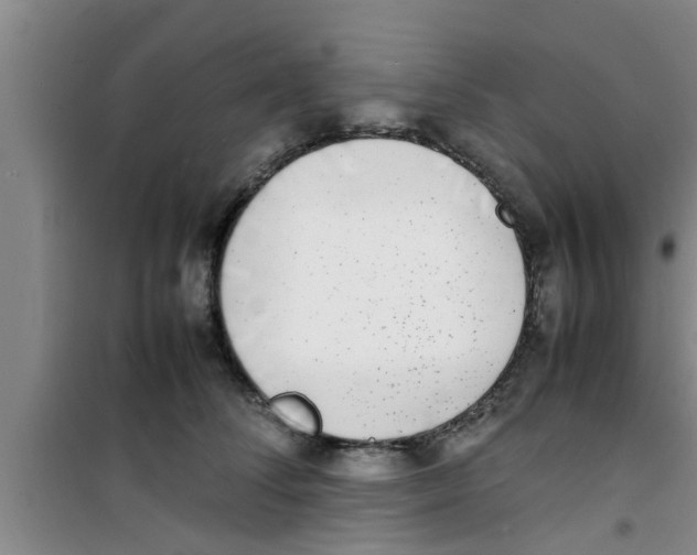 X0000100980708200807221233