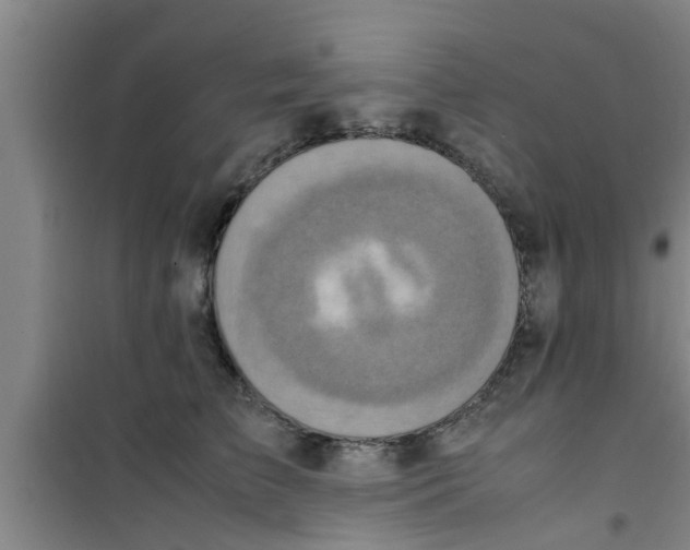 X0000100980709200807221233