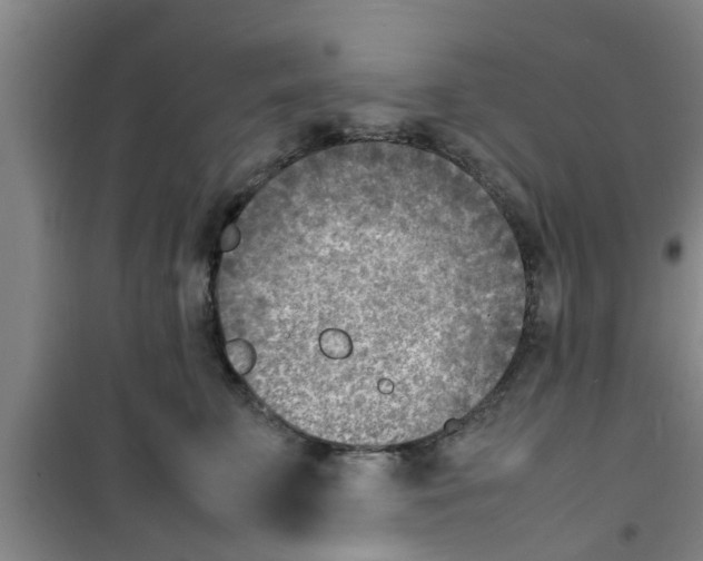 X0000100980711200807221233