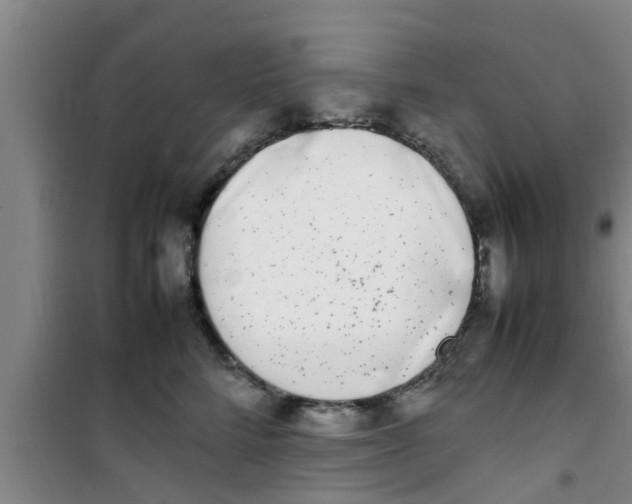 X0000100980712200807221233