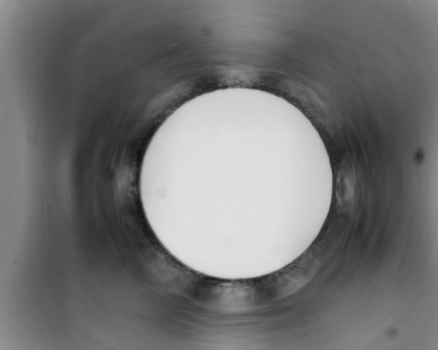 X0000100980714200807221233