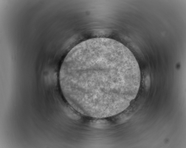 X0000100980716200807221233