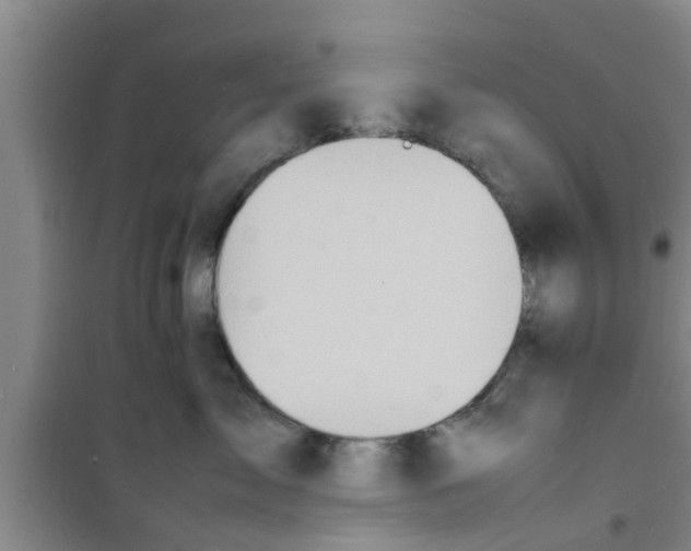 X0000100980717200807221233