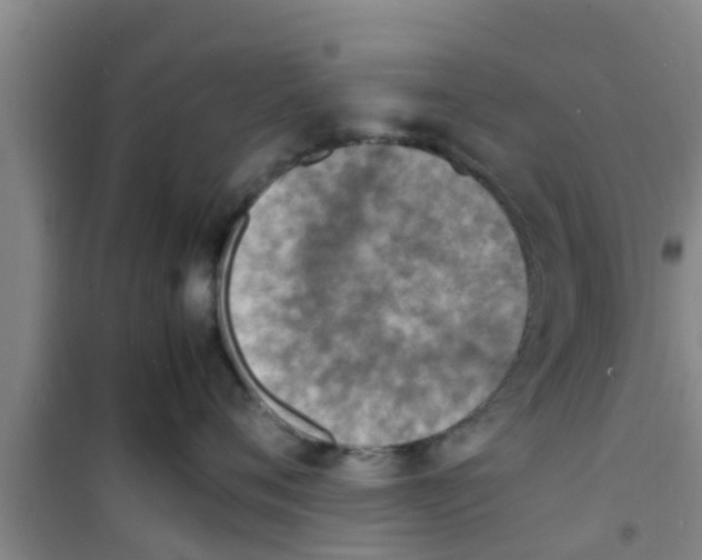 X0000100980720200807221233