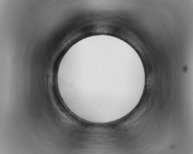 X0000100980722200807221233