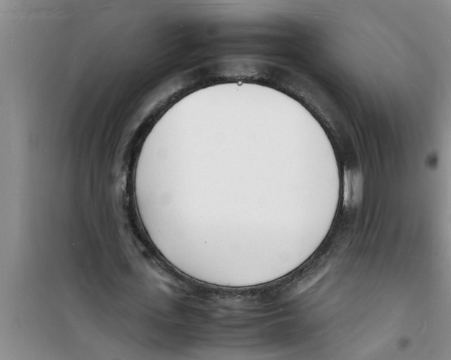 X0000100980723200807221233