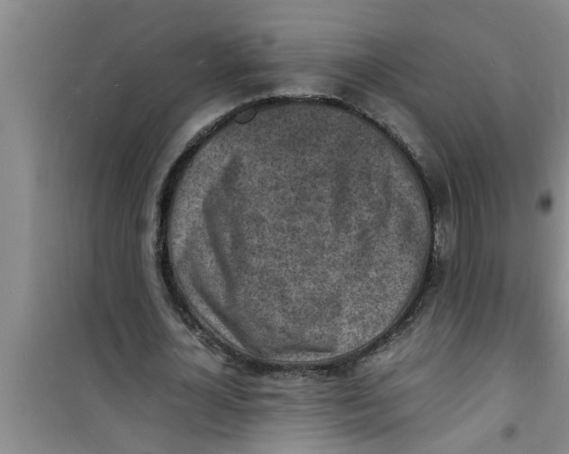 X0000100980724200807221233