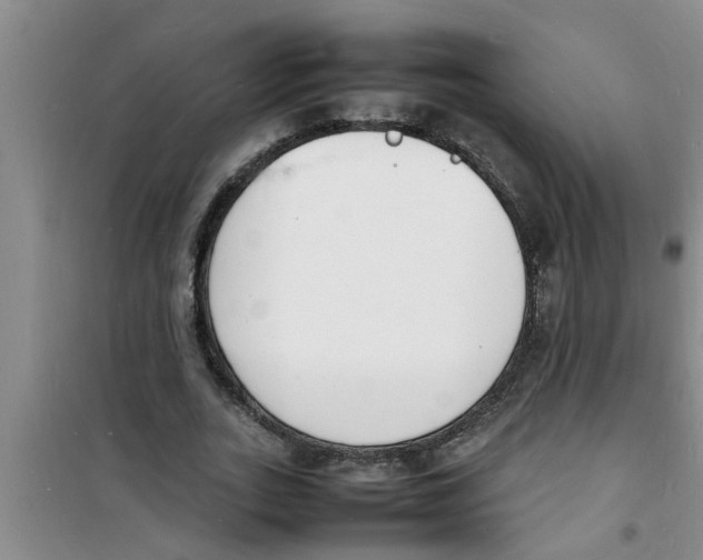 X0000100980727200807221233