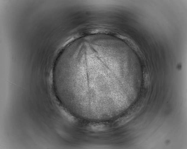 X0000100980729200807221233