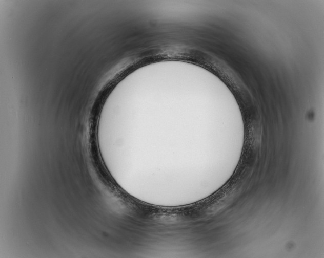 X0000100980730200807221233