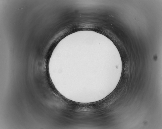 X0000100980731200807221233