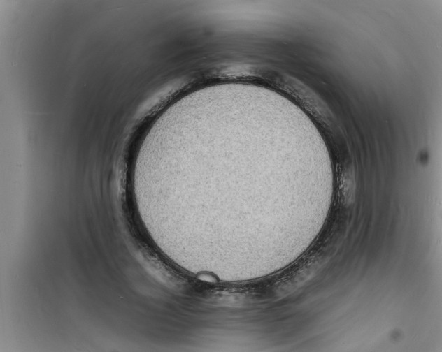 X0000100980732200807221233