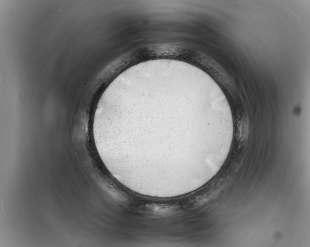 X0000100980733200807221233