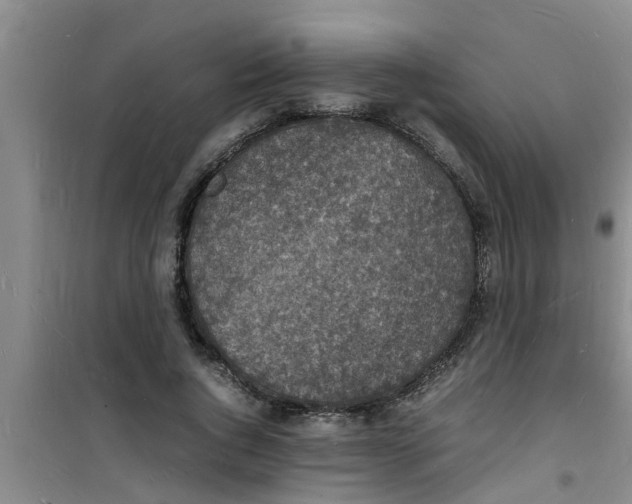 X0000100980736200807221233