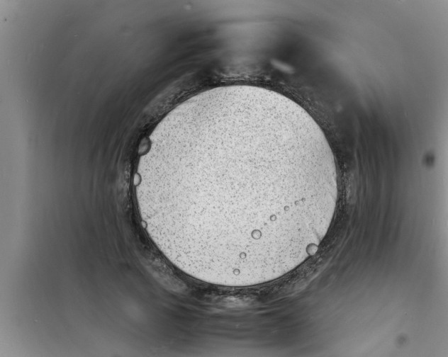 X0000100980737200807221233