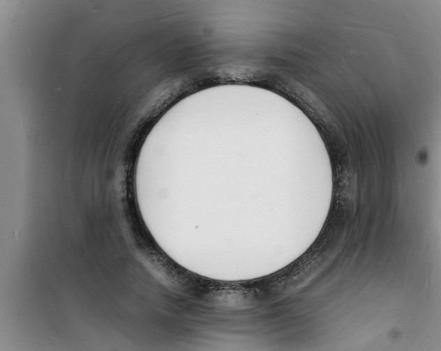 X0000100980738200807221233