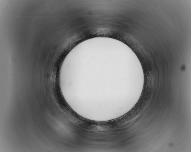 X0000100980739200807221233