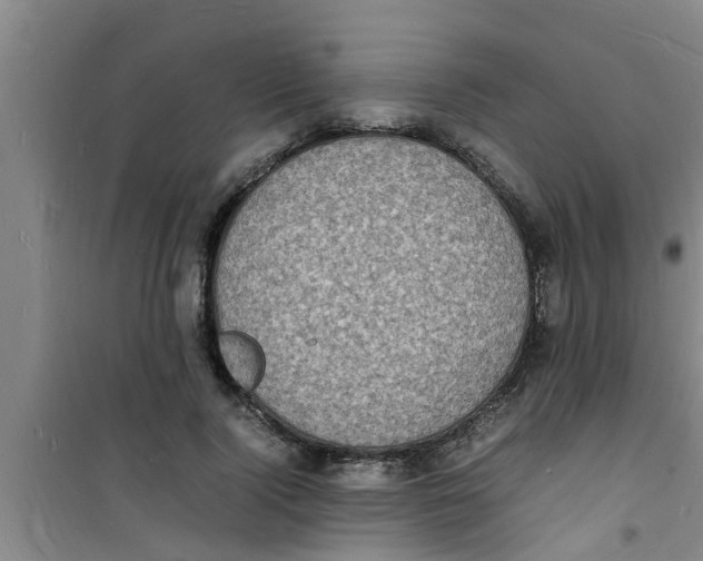 X0000100980740200807221233