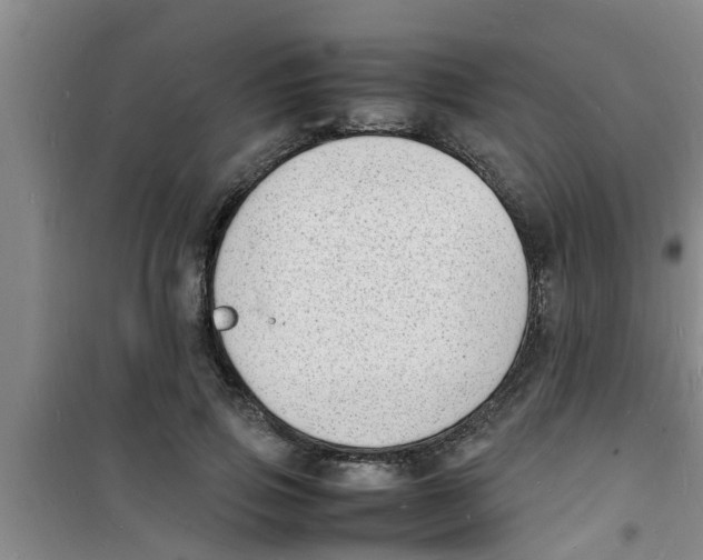 X0000100980741200807221233