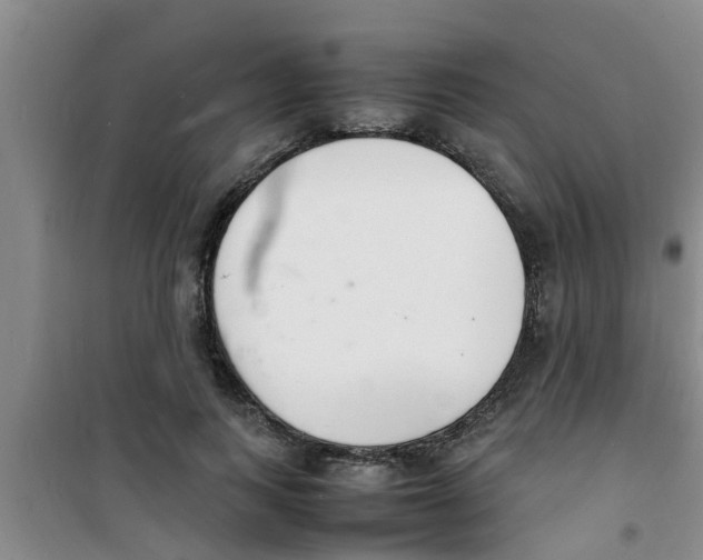 X0000100980743200807221233