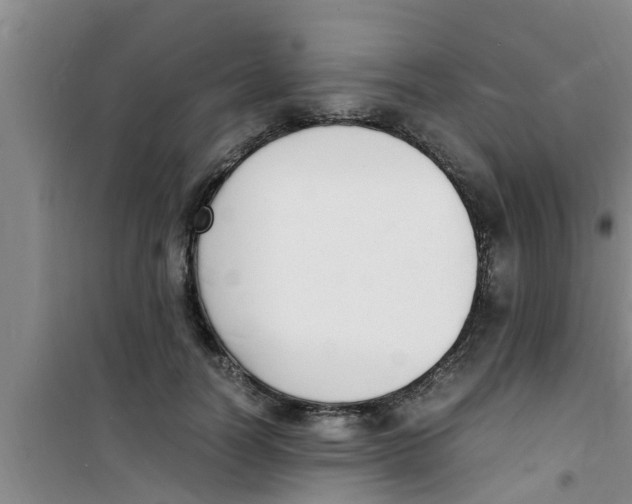 X0000100980746200807221233