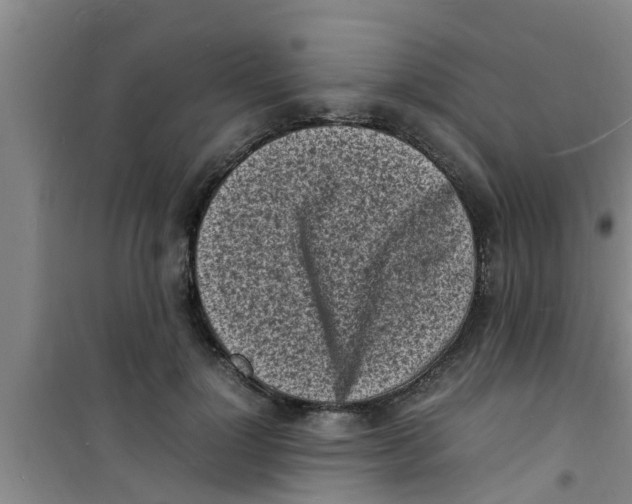 X0000100980748200807221233