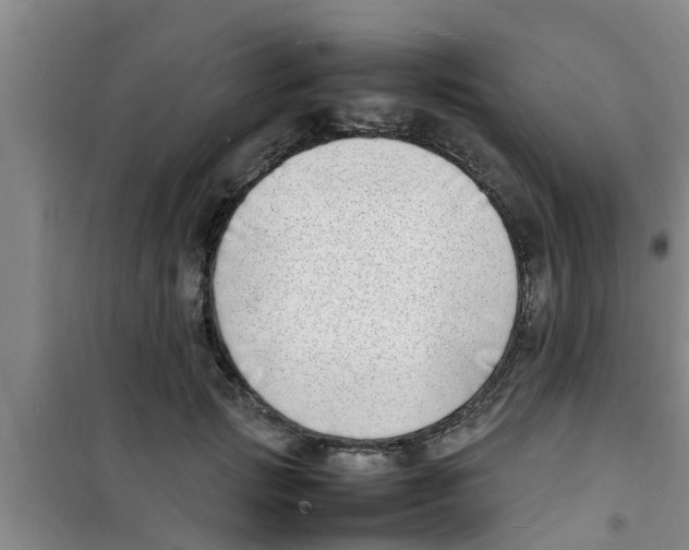 X0000100980749200807221233