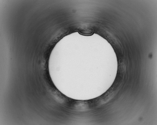 X0000100980750200807221233