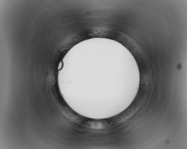 X0000100980751200807221233