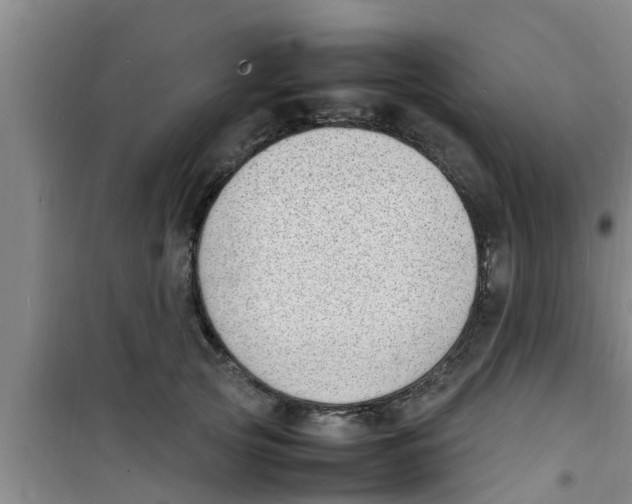 X0000100980753200807221233