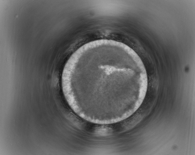 X0000100980754200807221233